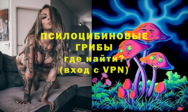 прущая мука Алексин